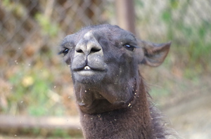 20131104-13.jpg