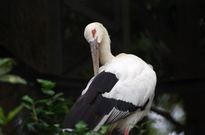 20131104-14.jpg