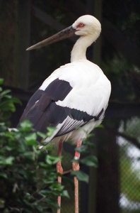 20131104-15.jpg