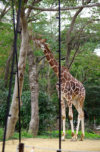 20131104-20.jpg