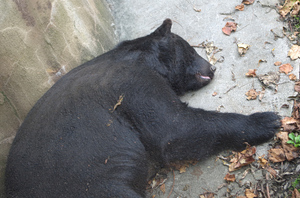 20131104-22.jpg