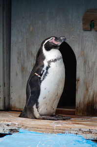 20131104-23.jpg