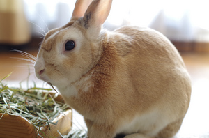 20131121-09.jpg