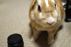 20131203-03.jpg