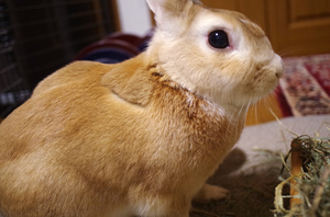 20131203-07.jpg
