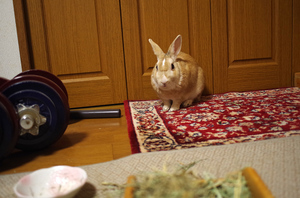 20131203-08.jpg