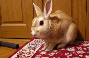 20131203-09.jpg
