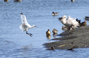 20140106-07.jpg