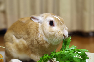 20140216-02.jpg