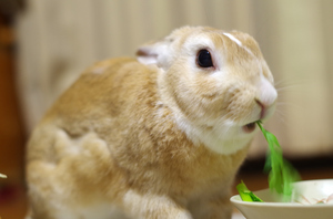 20140216-03.jpg