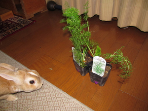 20140329-01.jpg
