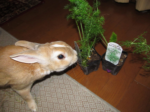 20140329-02.jpg