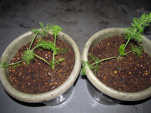 20140329-03.jpg