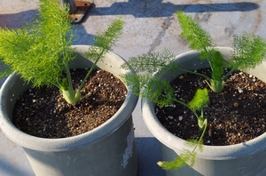 20140427-00.jpg