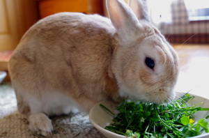 20140427-01.jpg
