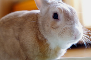 20140427-07.jpg