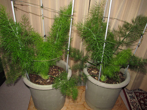 20140508-001.jpg