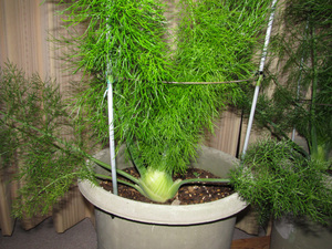 20140508-002.jpg