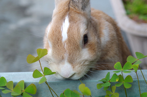 20140629-01.jpg