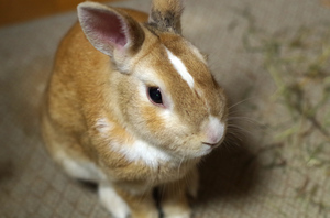 20140824-04.jpg