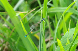20140824-05.jpg