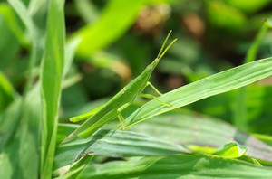 20140824-06.jpg