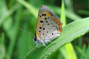 20140824-07.jpg