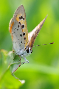 20140824-08.jpg