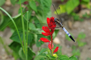 20140824-09.jpg