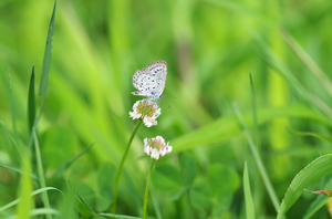 20140824-10.jpg