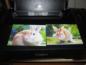 20140925-02.jpg