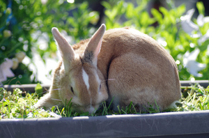 20140925-03.jpg