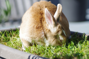 20140925-05.jpg