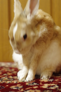 20141106-02.jpg