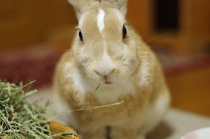 20141106-03.jpg