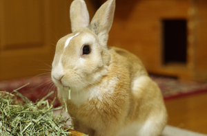 20141106-05.jpg