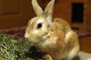 20141106-06.jpg