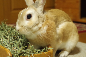 20141106-07.jpg