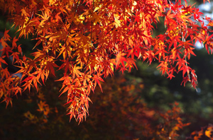 20141123-03.jpg