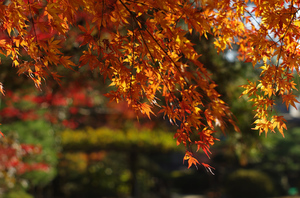 20141123-05.jpg