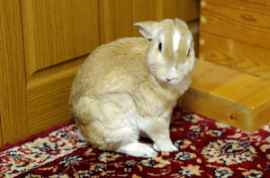 20141127-06.jpg