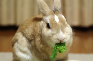 20141130-01.jpg