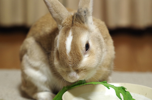 20141130-03.jpg
