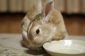 20141130-04.jpg
