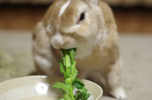 20141130-07.jpg
