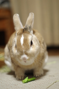 20141130-09.jpg