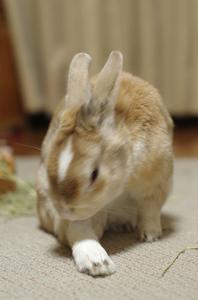 20141130-10.jpg