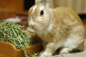 20141204-08.jpg