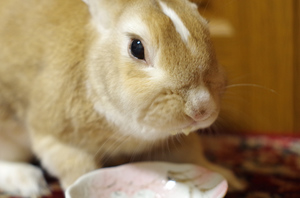 20141207-02.jpg