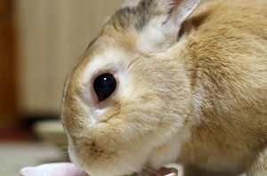 20141211-03.jpg